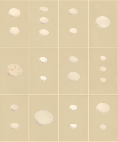 John Derian Eggs - Original Wallpaper