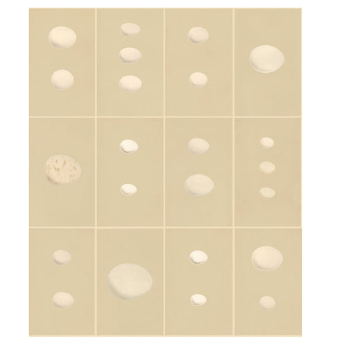 john derian Eggs - Original Wallpaper