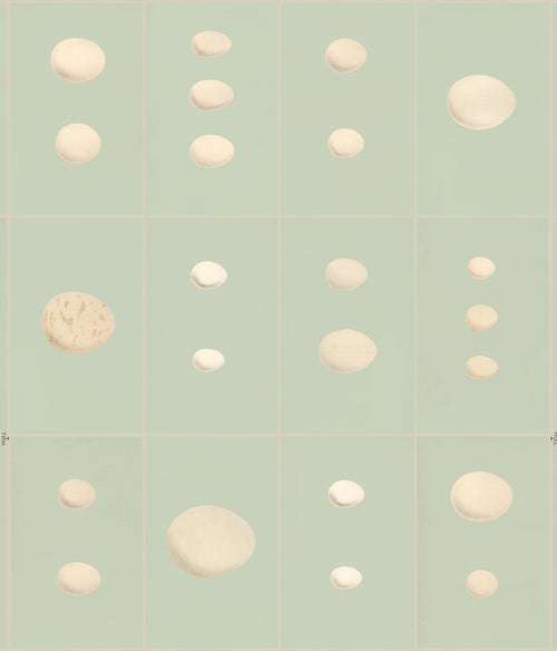 John Derian Eggs - Robins Egg Wallpaper