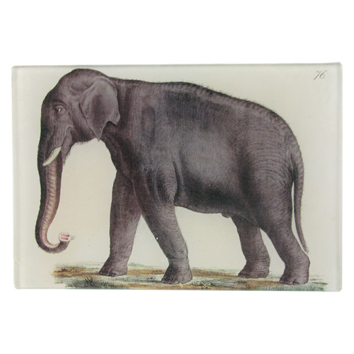 john derian Elephant 76 4.5 x 6.5" Mini-Tray