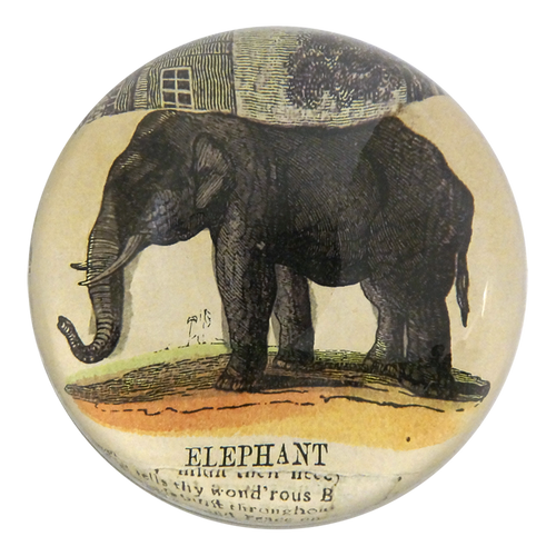 john derian Elephant Collage Dome Paperweight