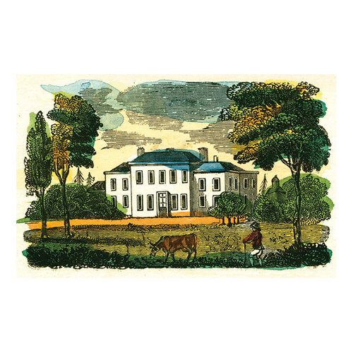 john derian Estate Postcard (Pack of 10)