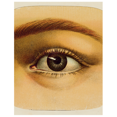 john derian Eye (p 294) 11" x 14" Rect. Tray