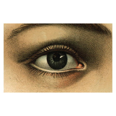 john derian Eye Postcard (Pack of 10)