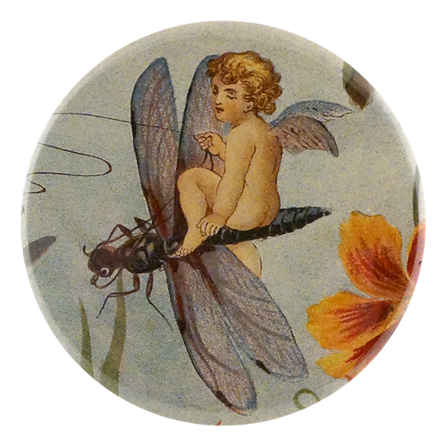john derian Fairy Dragon Mirror & Pin