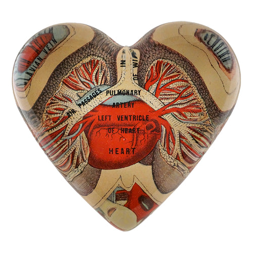 john derian Family Physician Heart Charm