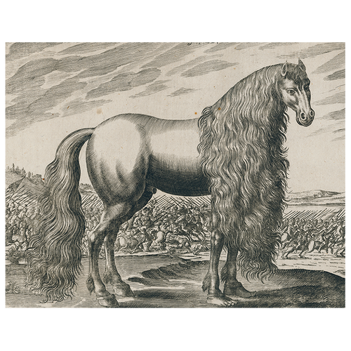 john derian Fantasy Horse (p 270) 11" x 14" Rect. Tray