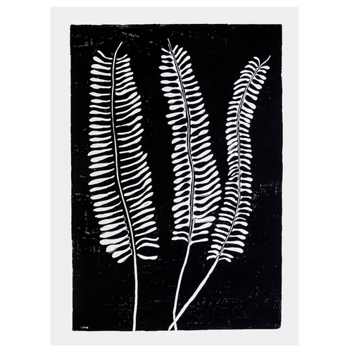 john derian Fern 2 22 x 30" Linocut Print