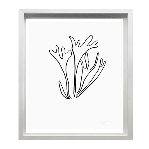 john derian "Fern" Hugo Guinness Original