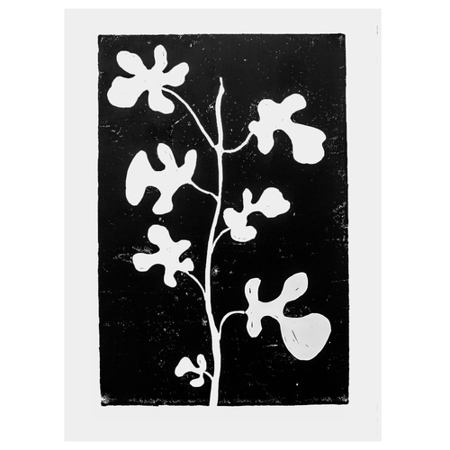 john derian Fig 22 x 30" Linocut Print