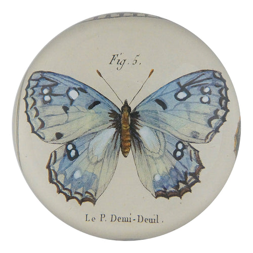 john derian Fig. 5 Butterfly Dome Paperweight
