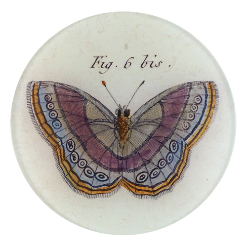 john derian Fig. 6 bis Butterfly 5 1/4" Round Plate