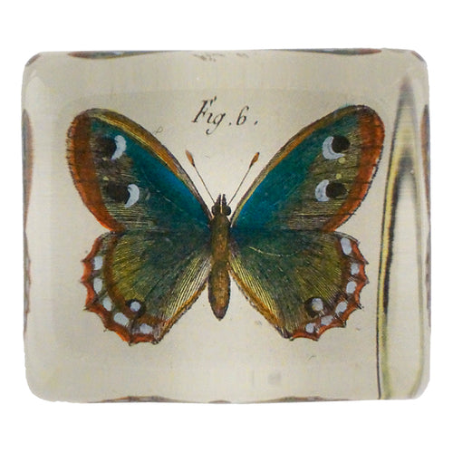 john derian Fig. 6 Butterfly Rectangular Charm