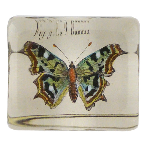 john derian Fig. 9 Butterfly Rectangular Charm