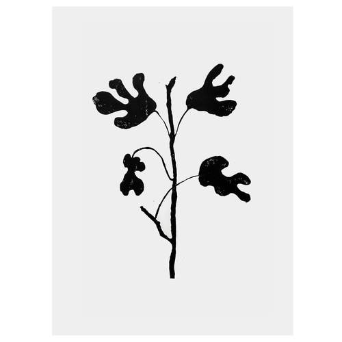 john derian Fig Tree 21 x 24" Linocut Print