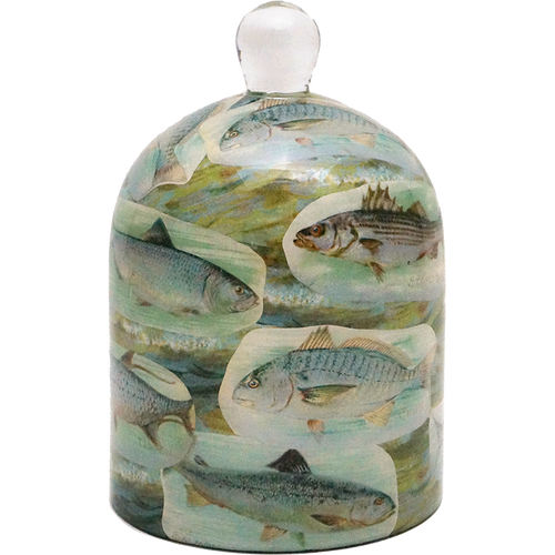 john derian Fish Bell Jar / Dome
