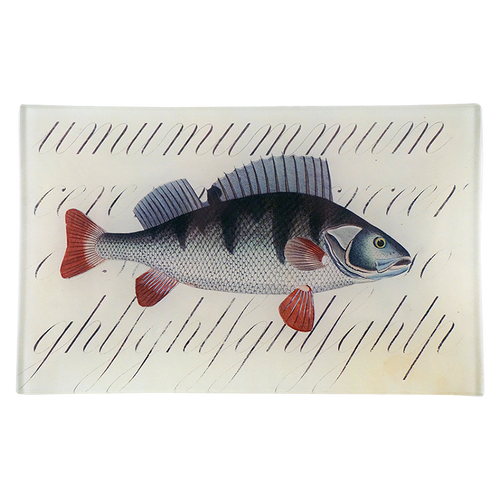 john derian Fish with Script 5 x 8" Cell Phone Tray