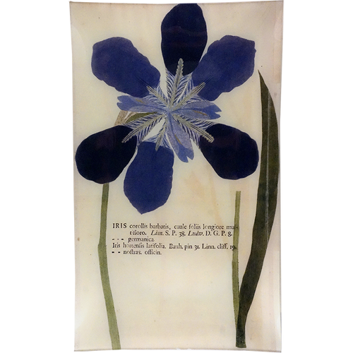 john derian Five Iris 12 x 20" Rect. Tray