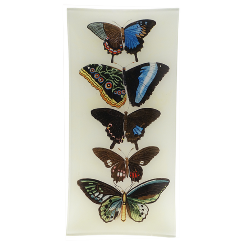 john derian Five Winged 6 x 12" Pencil Tray