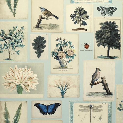 john derian Flora and Fauna Cloud Blue Wallpaper