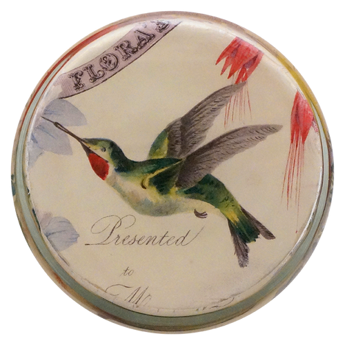 John Derian Flora's Dictionary Desk Cup