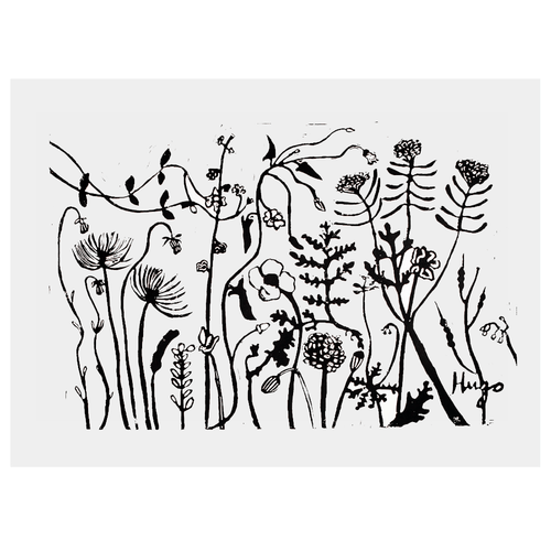 john derian Florabunda 2 22 x 30" Linocut Print