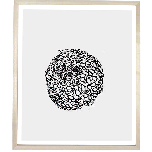 john derian Flower Bud 12 x 14" Linocut Print