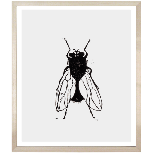 john derian Fly 10 x 12" Linocut Print
