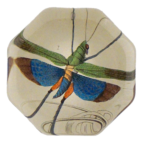 john derian Flying Locust Octagonal Charm