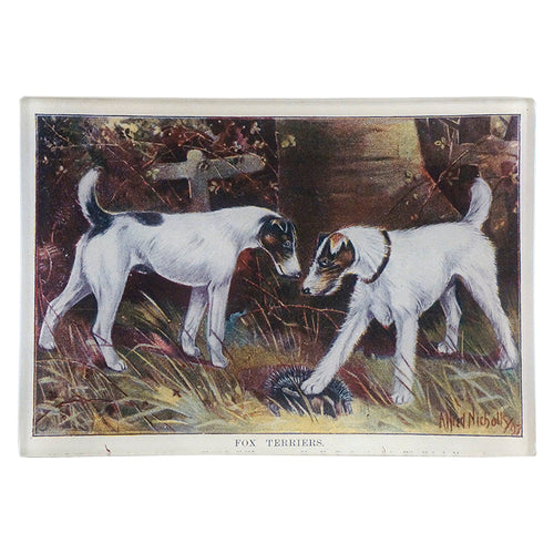 john derian Fox Terriers 4.5 x 6.5" Mini-Tray