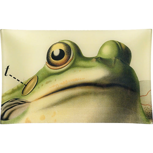john derian Frog Close-Up 10 x 16" Rect. Tray