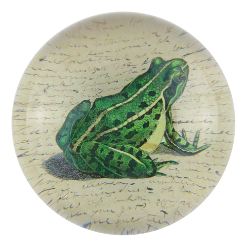 john derian Frog Prince Dome Paperweight