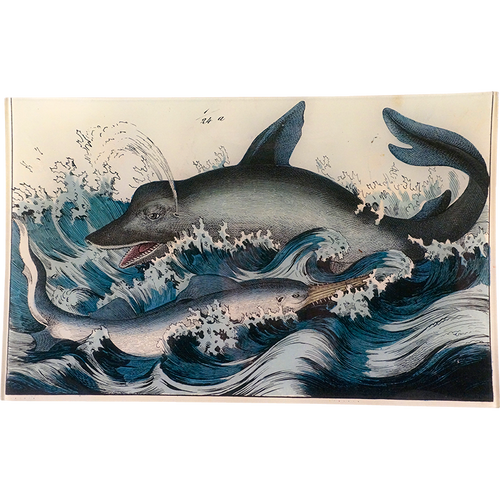 john derian Frolicking 10 x 16" Rect. Tray