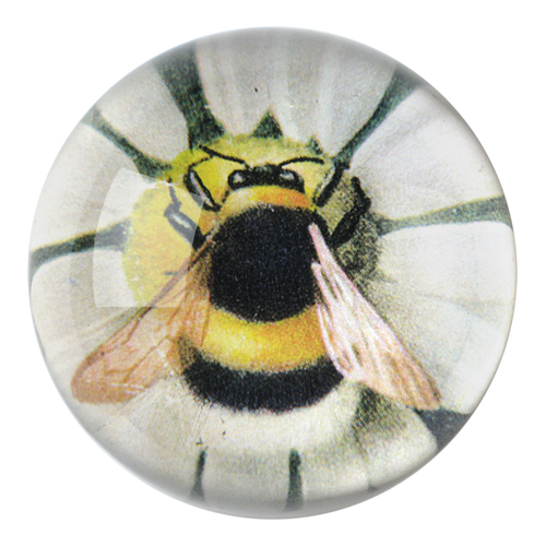 john derian Fuzzy Bee (Green Daisy) Dome Paperweight