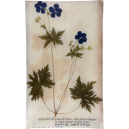 john derian Geranium Pinnato 12 x 20" Rect. Tray