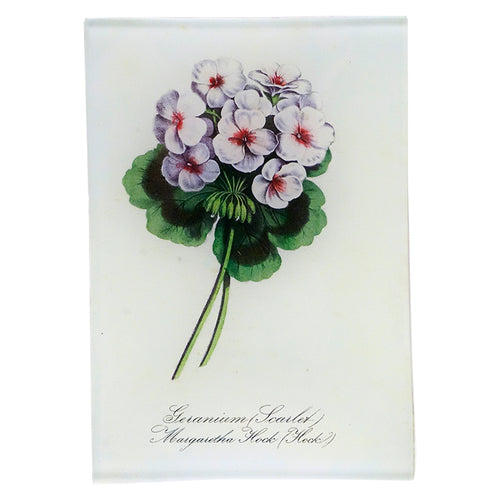 john derian Geranium Scarlet 4.5 x 6.5" Mini-Tray