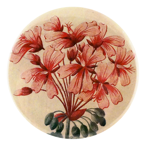 john derian Geranium Zonale Mirror & Pin