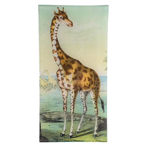 john derian Giraffe 6 x 12" Pencil Tray