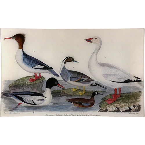 john derian Goosander 10 x 16" Rect. Tray