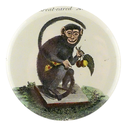 john derian Great-Eared Monkey Mirror & Pin