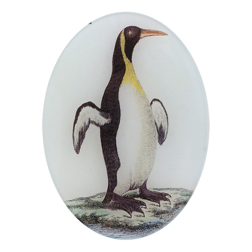 john derian Guillemot 5 x 7" Oval