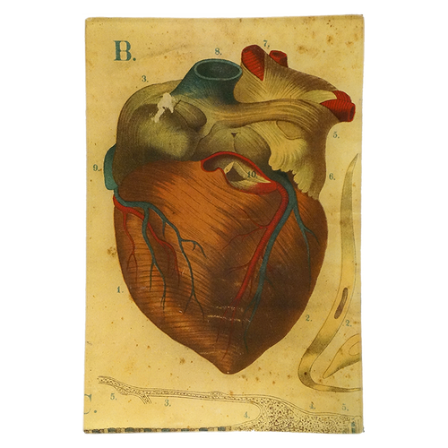 john derian Heart 6 x 9" Rect. Tray