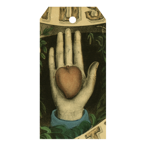john derian Heart in Hand Gift Tags (Pack of 5)