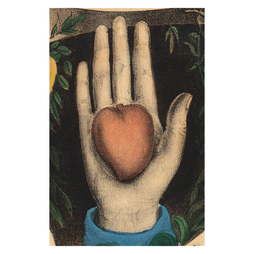 john derian Heart in Hand Postcard (Pack of 10)