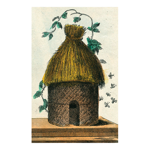 john derian Hive Postcard (Pack of 10)