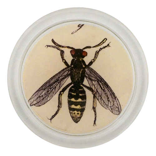 john derian Hornet G. 4" Coaster