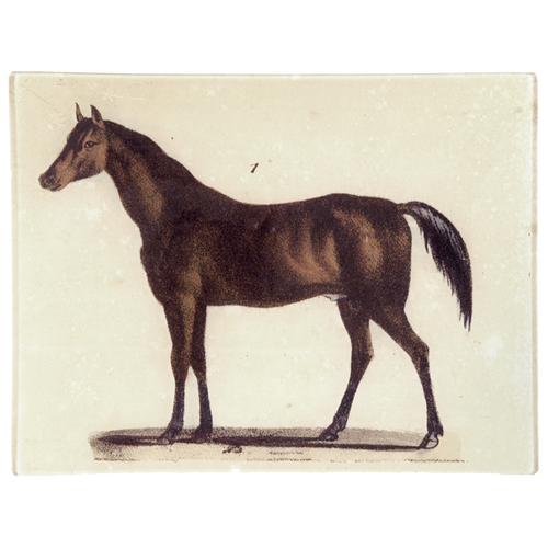 john derian Horse #1 8 x 10.5" Rect. Tray
