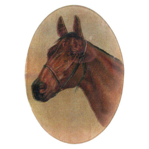 john derian Horse 7 x 10" Oval