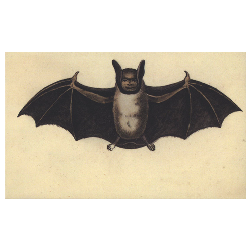 john derian Human Bat Postcard (Pack of 10)