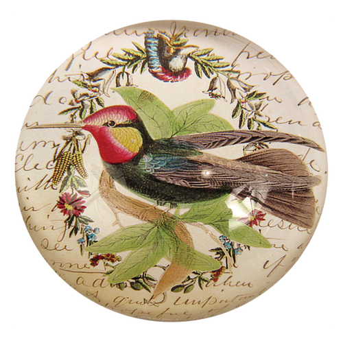 john derian Hummingbird Dome Paperweight